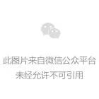 我的屋顶发电又赚钱-ng电子游戏