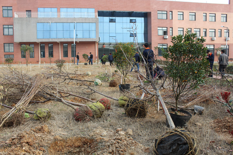 3月12植树节，，，看看ng电子游戏人建设园林单位的势头！