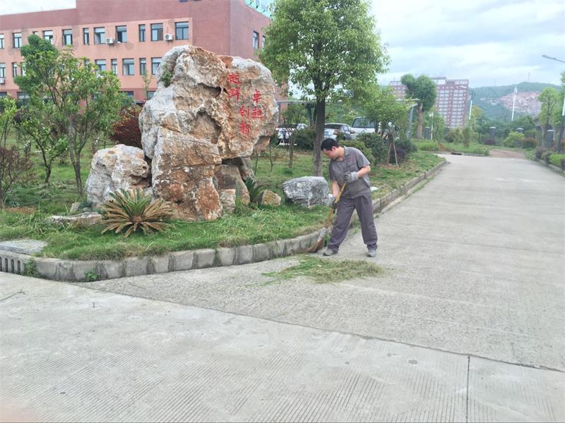 全员加入，，，，，建设卫生厂区